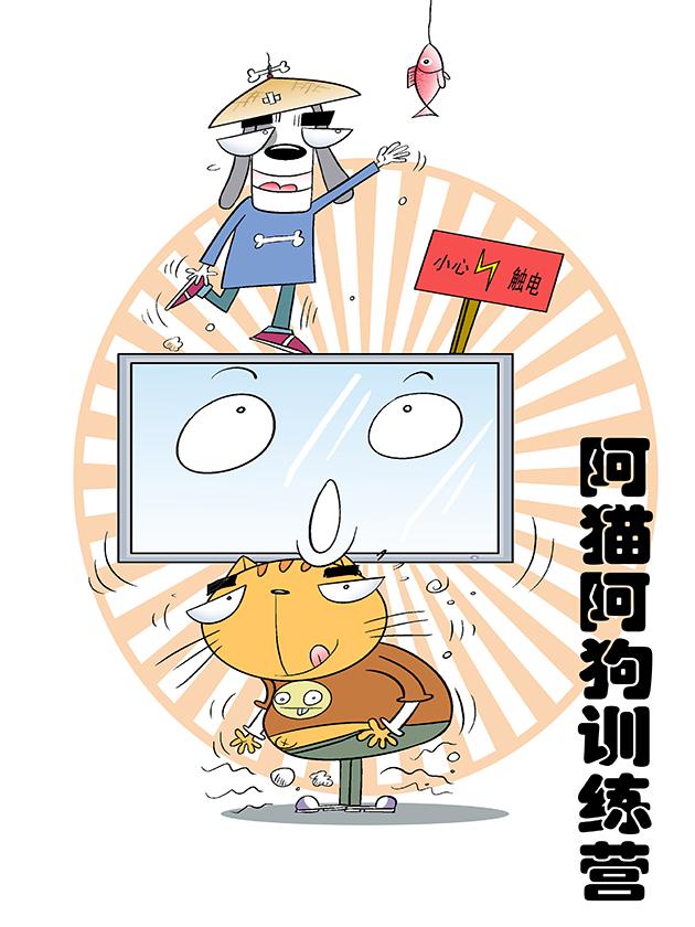 阿猫阿狗训练营漫画