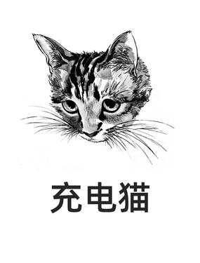 充电猫海报